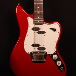 Fender Electric XII 1965