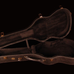 Alhambra Case Classic Guitar