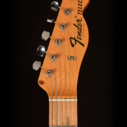 Fender Telecaster Paisley