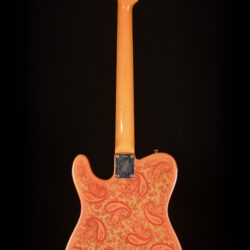 Fender Telecaster Paisley