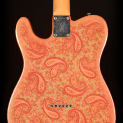 Fender Telecaster Paisley