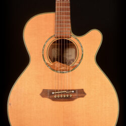 Takamine LTD99