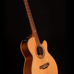 Takamine LTD99