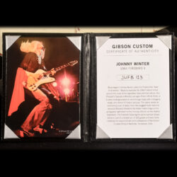 Gibson 1964 Firebird V Johnny Winter