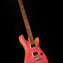 PRS SE Custom