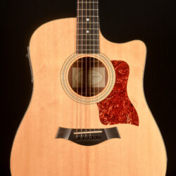 Taylor 310-CE