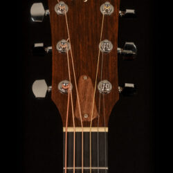 Taylor 310-CE