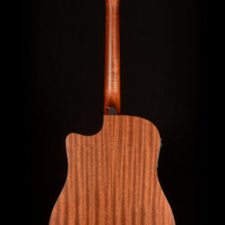 Taylor 310-CE