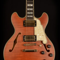 D'Angelico DLX DCSP