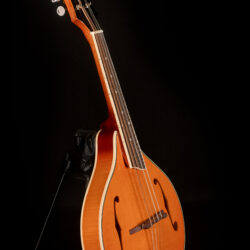 Rover RM-70S Mandolin