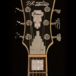 D'Angelico Premier