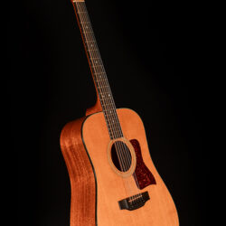 Taylor 450 12-string