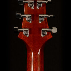 PRS Custom 22 10 top 20th Anniversary 2006